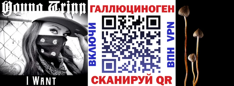 Псилоцибиновые грибы GOLDEN TEACHER  hydra зеркало  Котельниково 